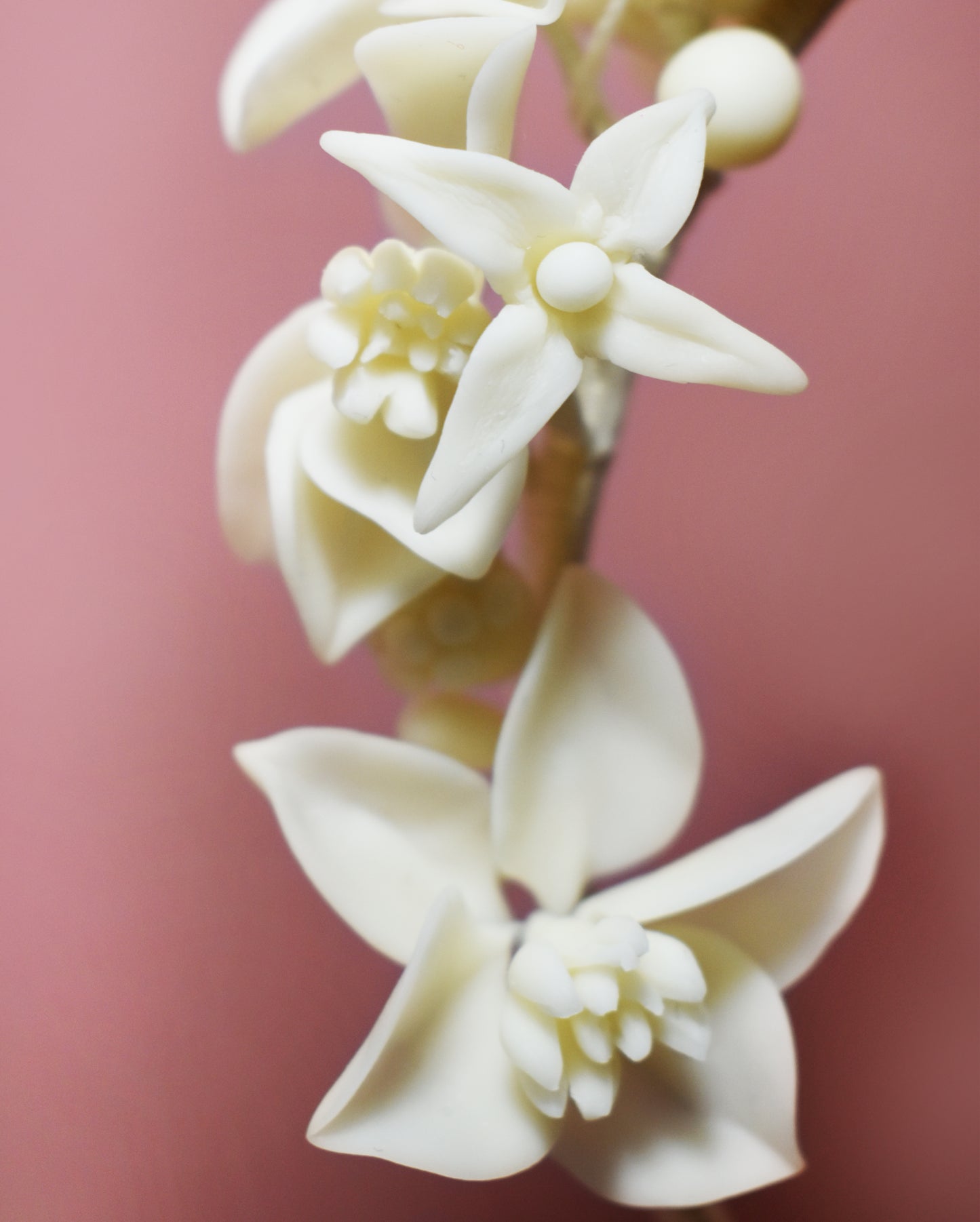 Jasmine Bridal Headpiece