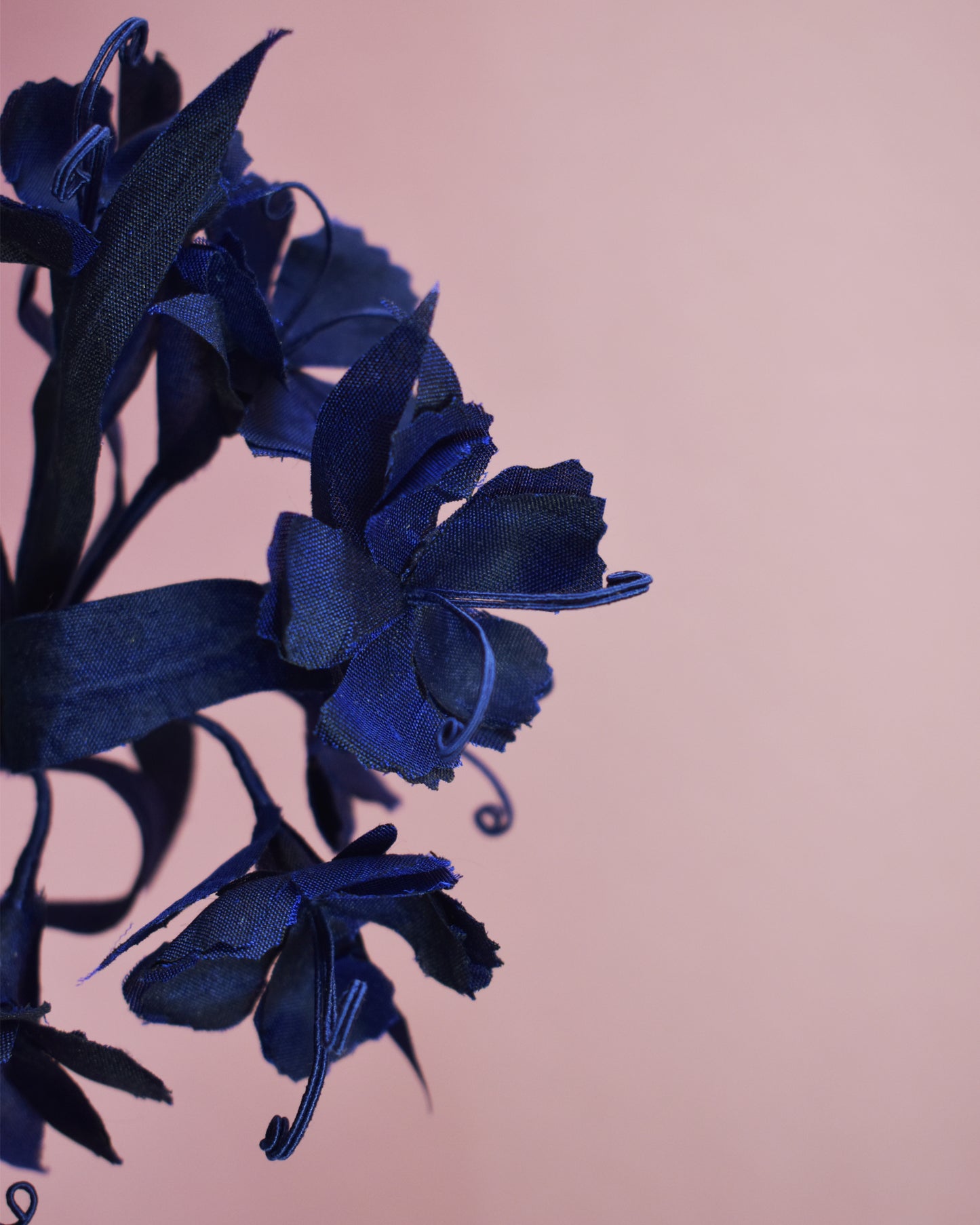 CAMELLIA Pillbox Hat